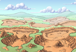 Oasis